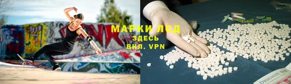 индика Алексин
