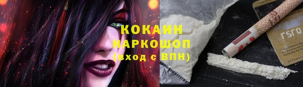 индика Алексин