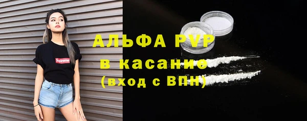 индика Алексин