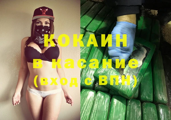 индика Алексин