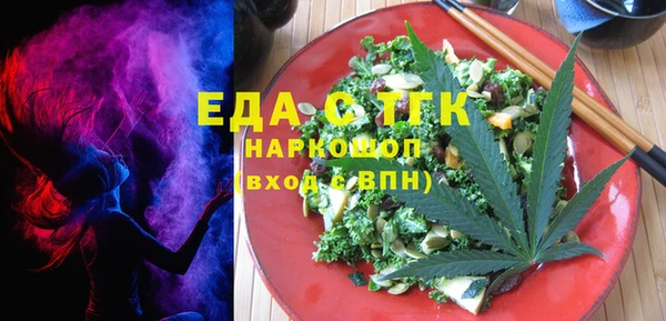 индика Алексин