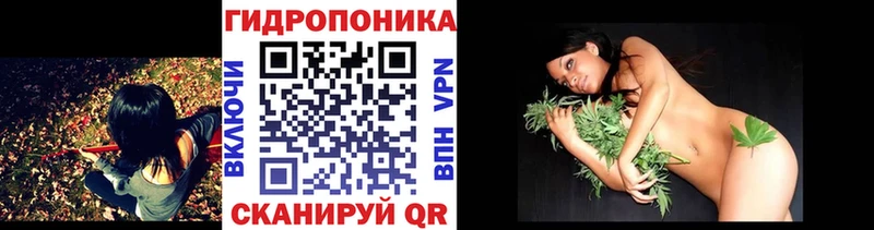 нарко площадка наркотические препараты  Бокситогорск  мега рабочий сайт  Бошки марихуана план  цена наркотик 
